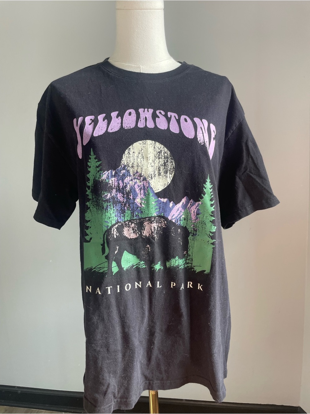 Yellowstone National Park Buffalo T Shirt
